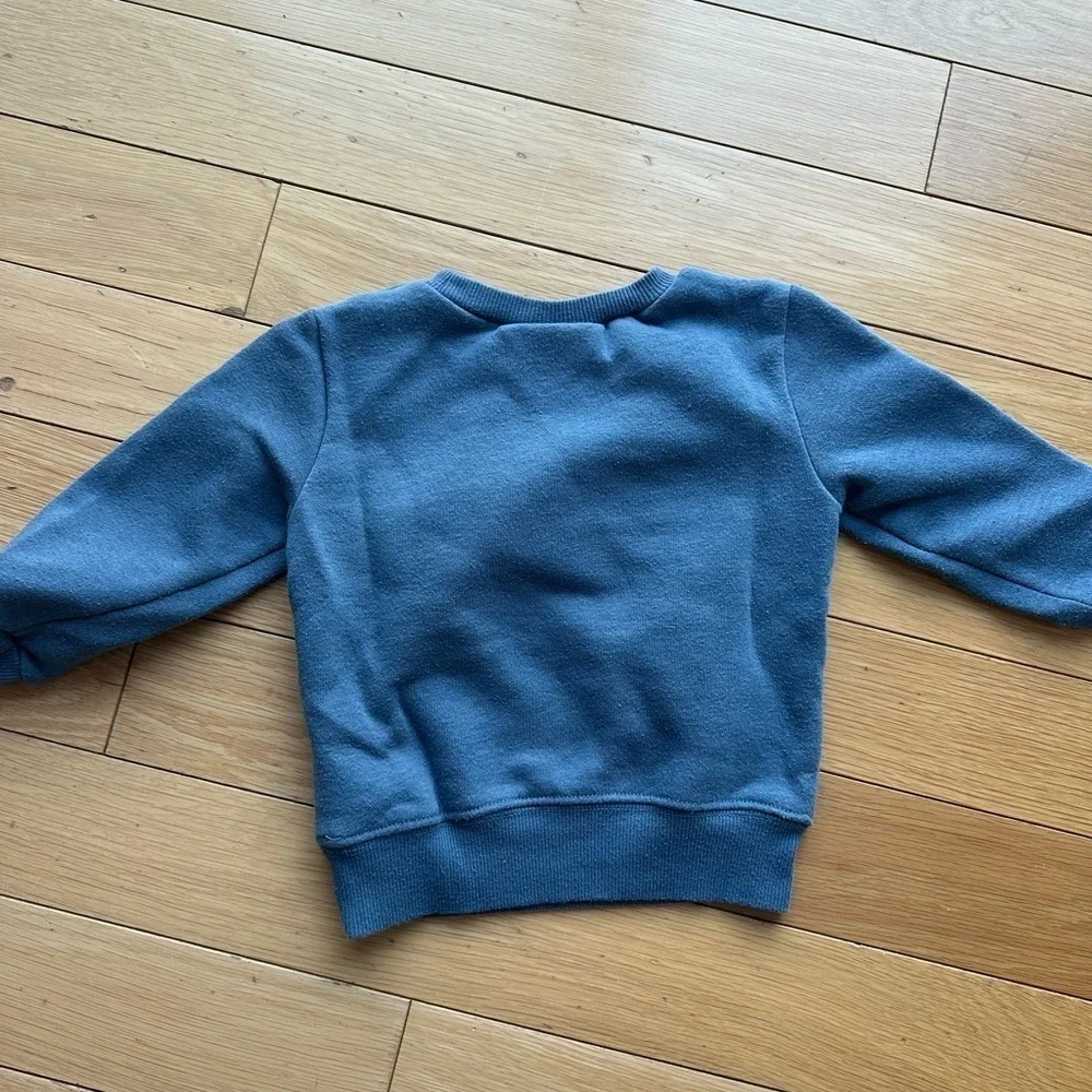 Kids' Gray Dinosaur & Blue Superhero Sweatshirts size 2T